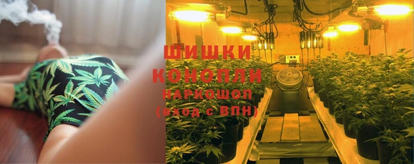 соль ск Аркадак